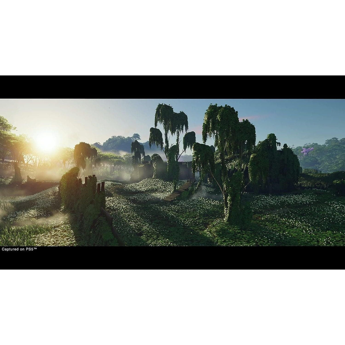 Ghost of Tsushima: Director’s Cut (PS5)