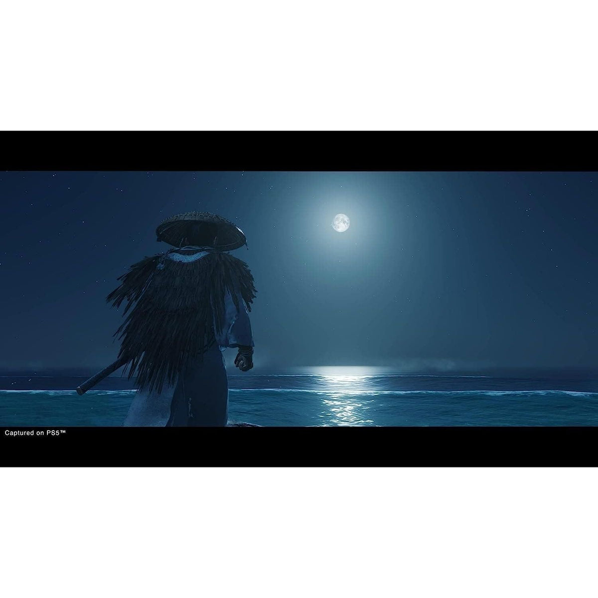 Ghost of Tsushima: Director’s Cut (PS5)