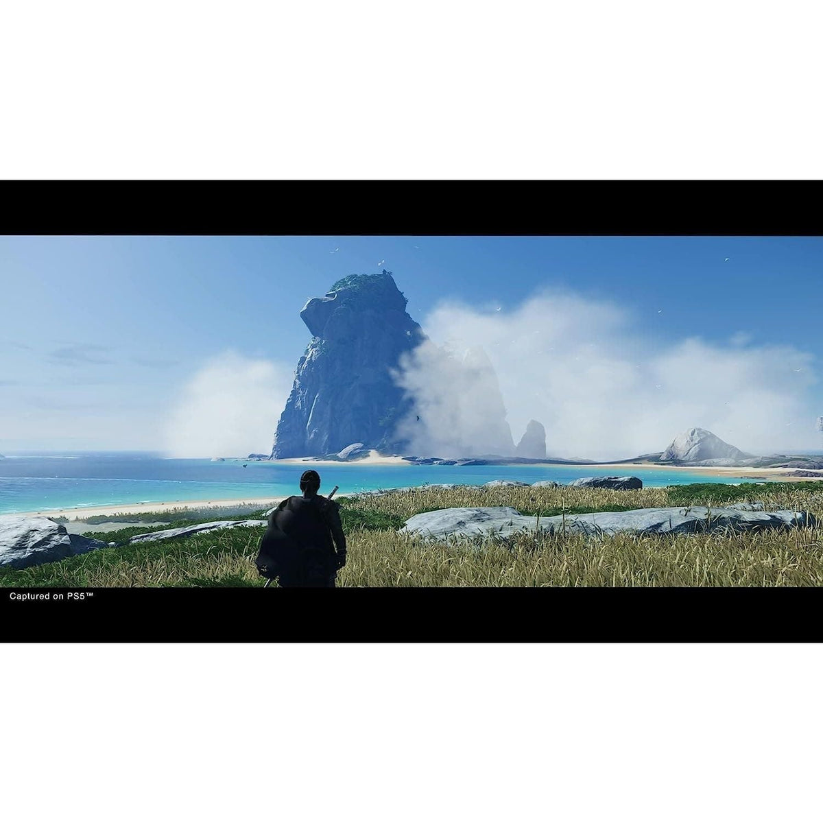Ghost of Tsushima: Director’s Cut (PS5)