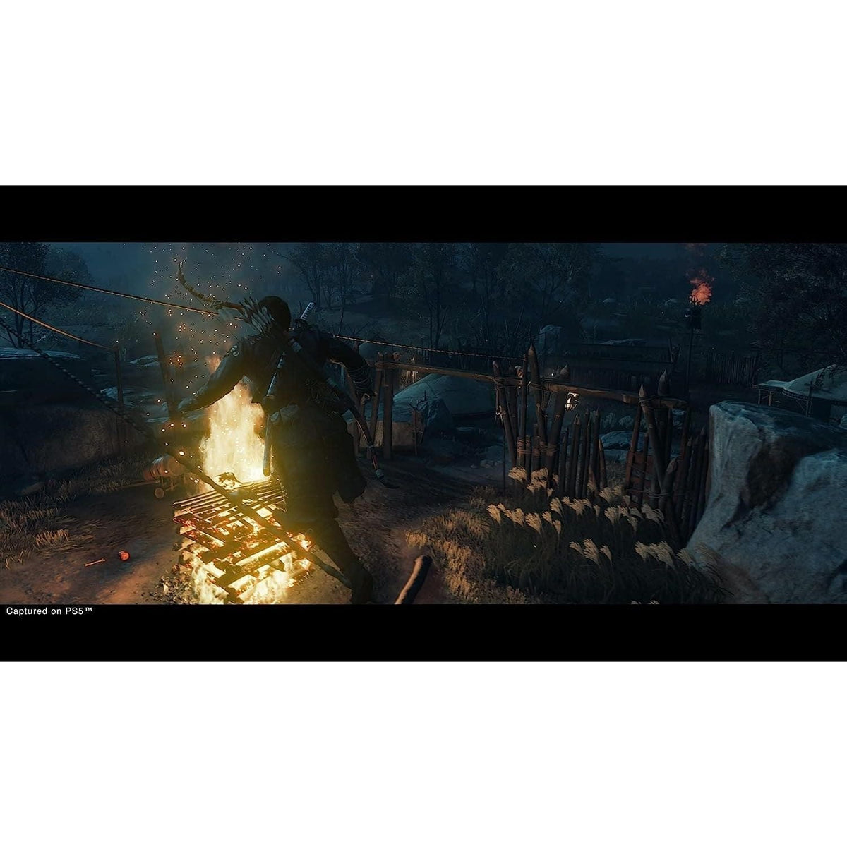 Ghost of Tsushima: Director’s Cut (PS5)