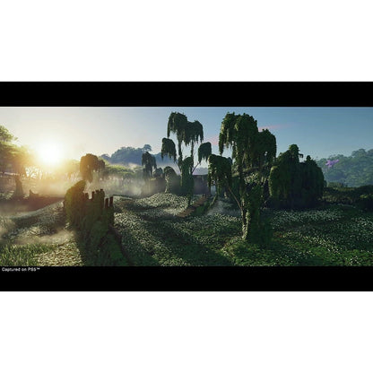 Ghost of Tsushima: Director’s Cut (PS5)