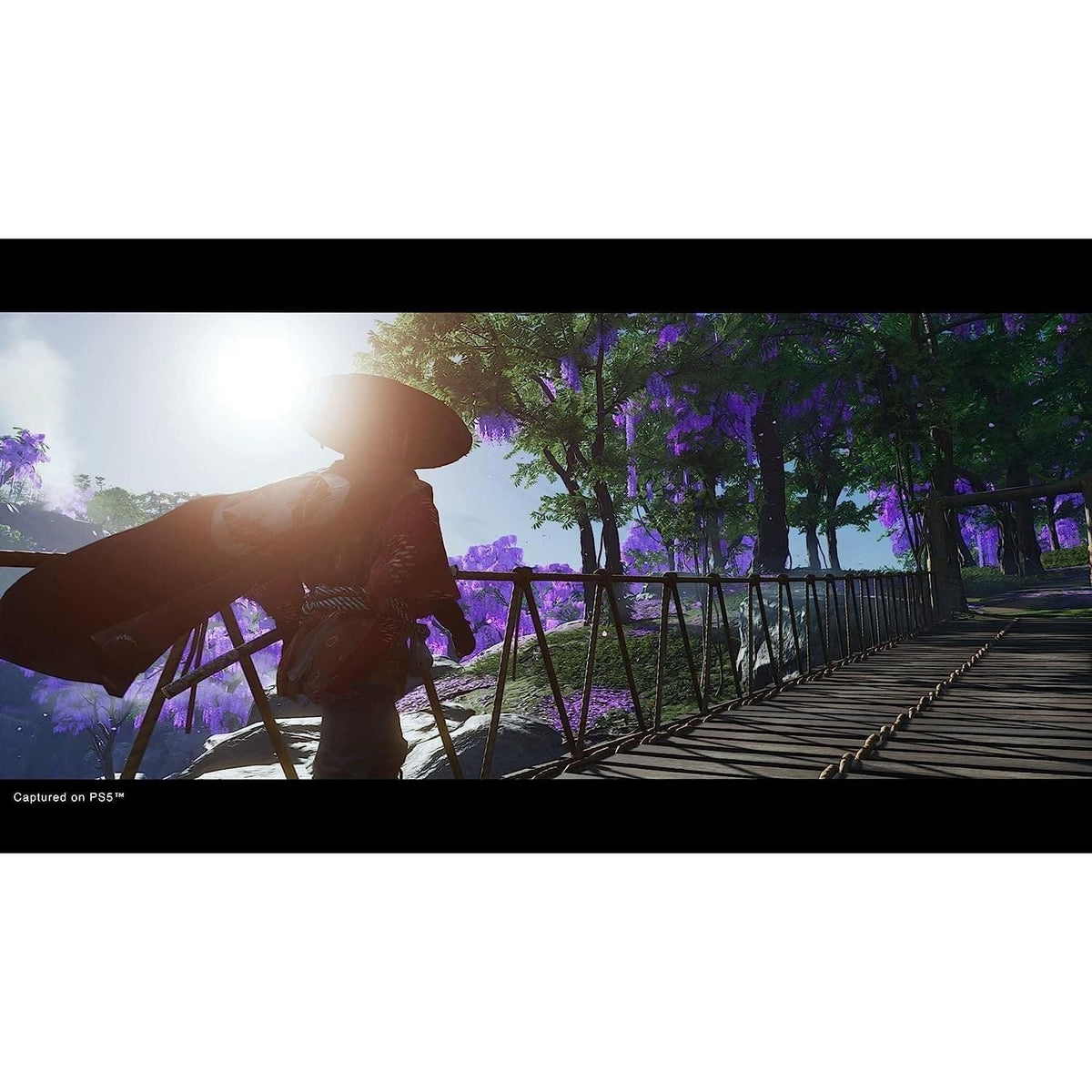 Ghost of Tsushima: Director’s Cut (PS5)