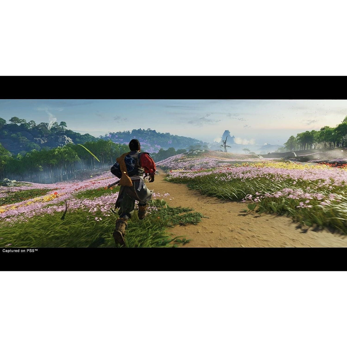 Ghost of Tsushima: Director’s Cut (PS5)