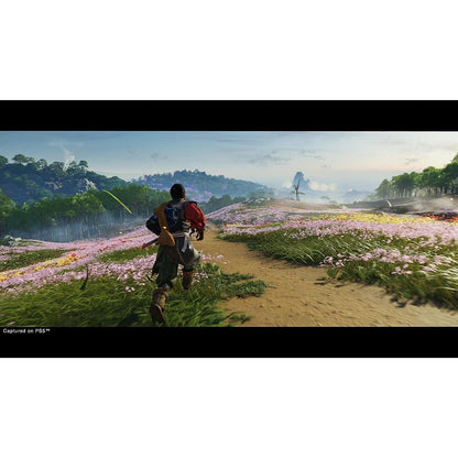 Ghost of Tsushima: Director’s Cut (PS5)